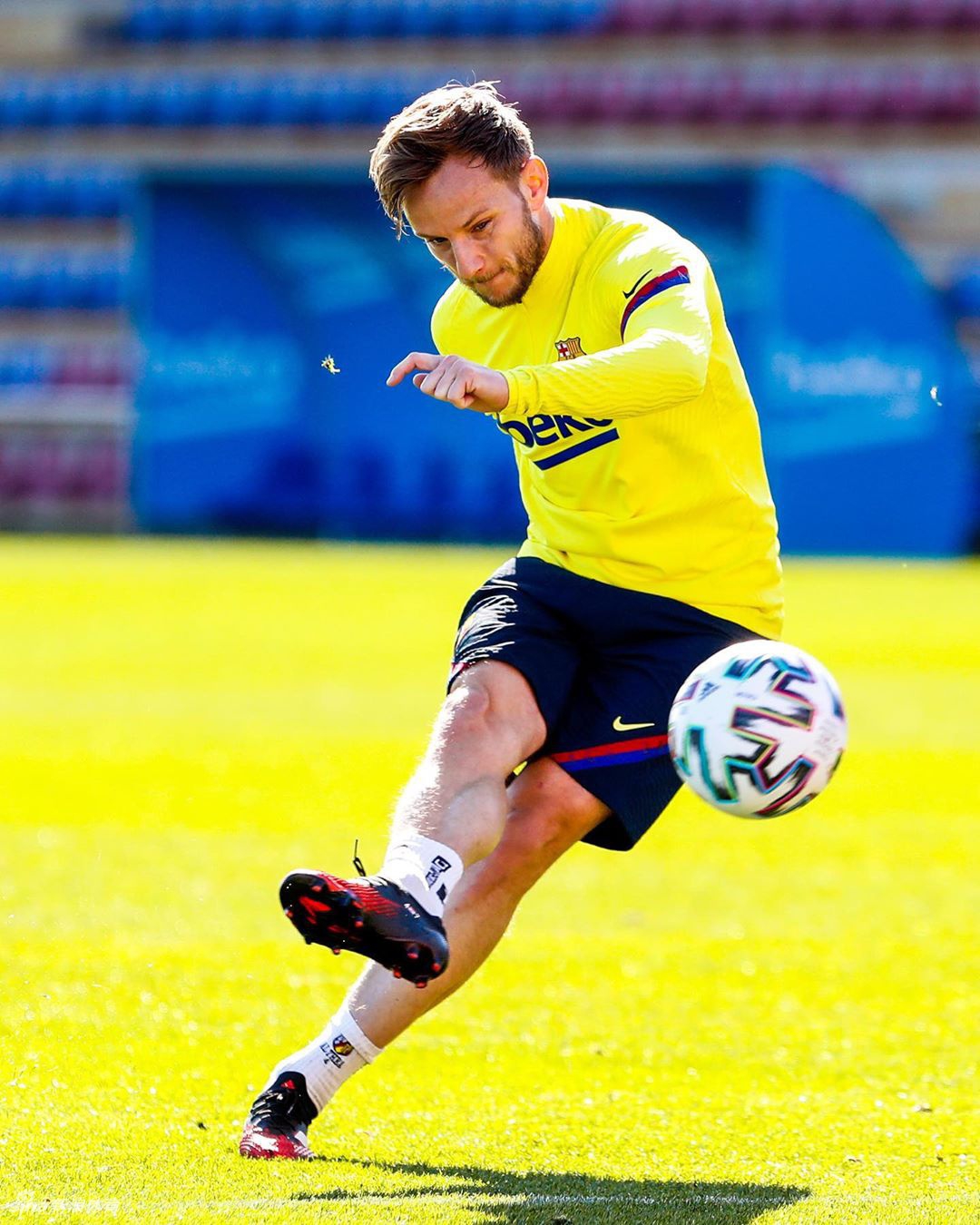 集结日多伦多猛龙备战国王杯，内部沟通细节曝光，信心回归，高层口径保持一致的简单介绍