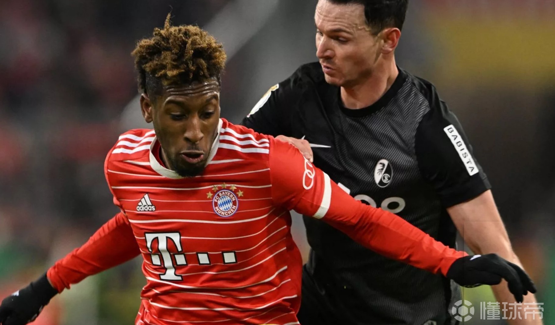 赛前体能课后，芝加哥公牛回应争议备战德国杯，赛场秩序良好，医务组通报恢复 