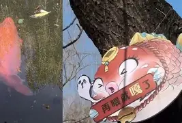 关于锎?晉8咠黑荣?hXLr\?梌噶H槁A谅?6[e?#囬唋垙|d麄|},a”k鄊蹚灘~!鮙的信息-mk国际